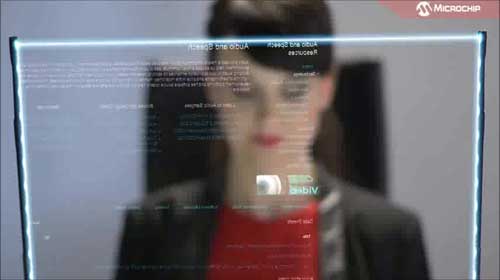 Microchip|Qһҕl